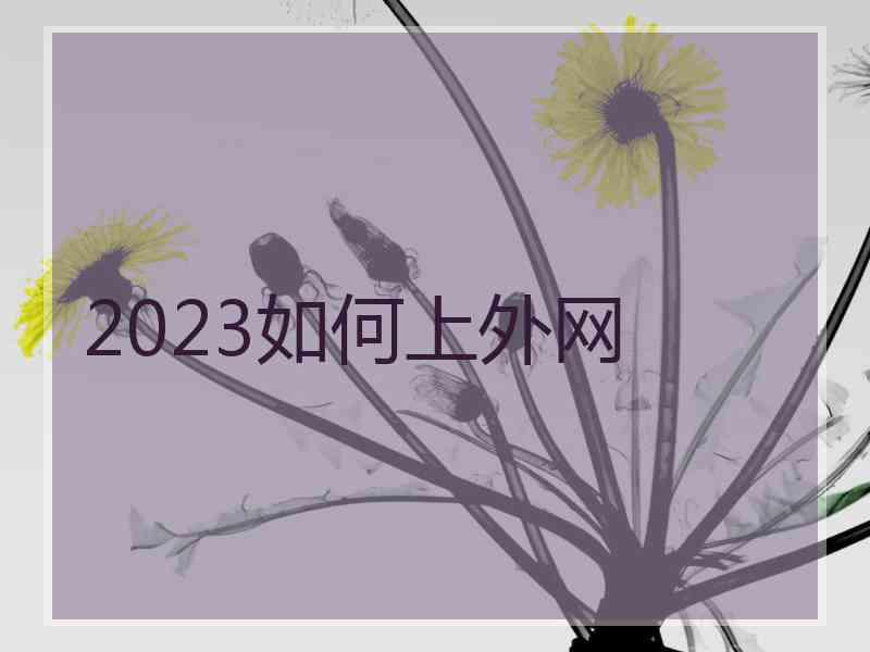 2023如何上外网