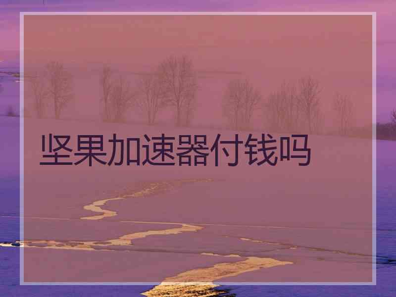 坚果加速器付钱吗