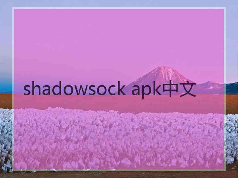 shadowsock apk中文