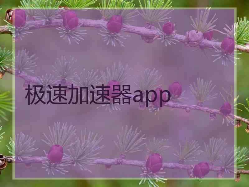 极速加速器app
