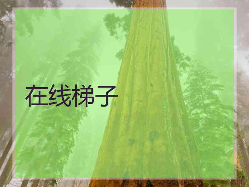 在线梯子