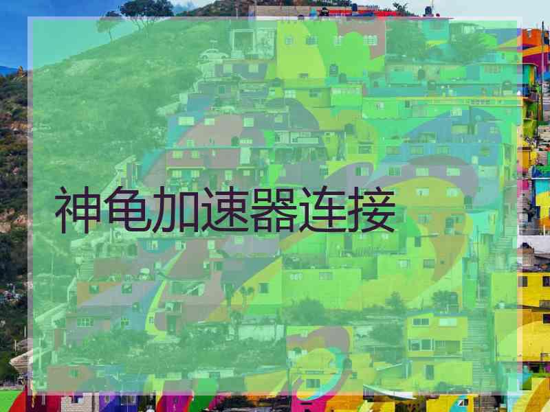 神龟加速器连接