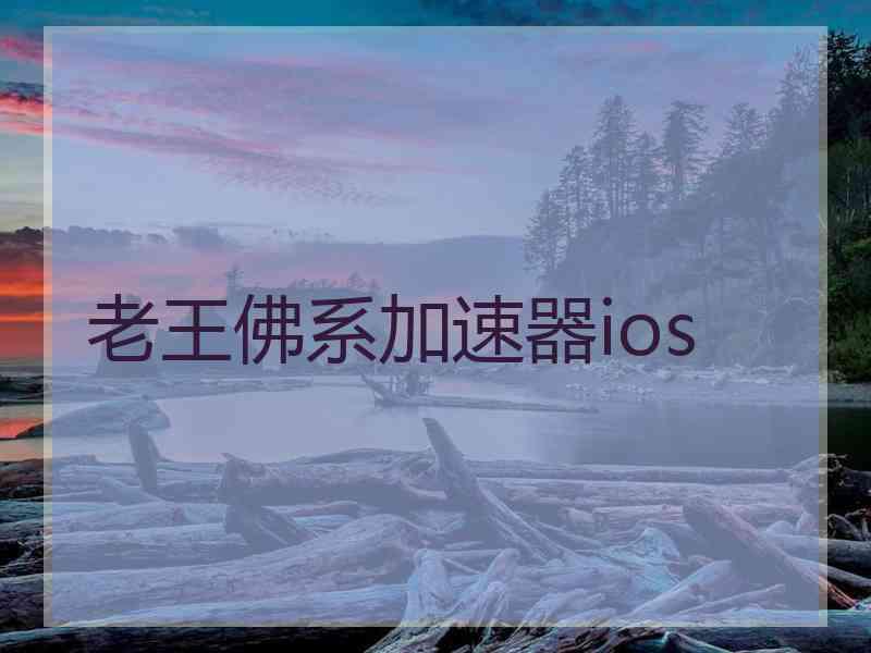 老王佛系加速器ios
