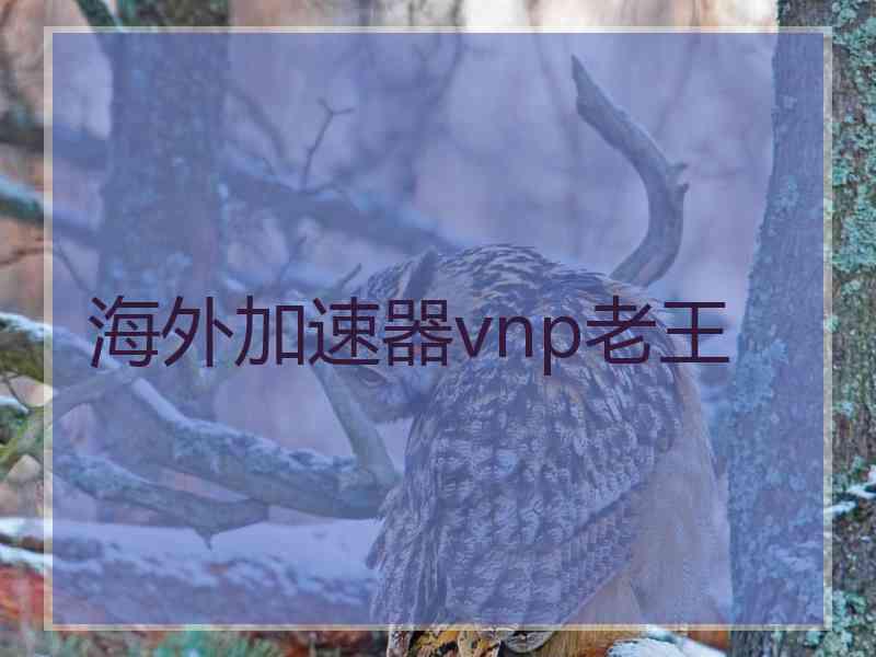 海外加速器vnp老王