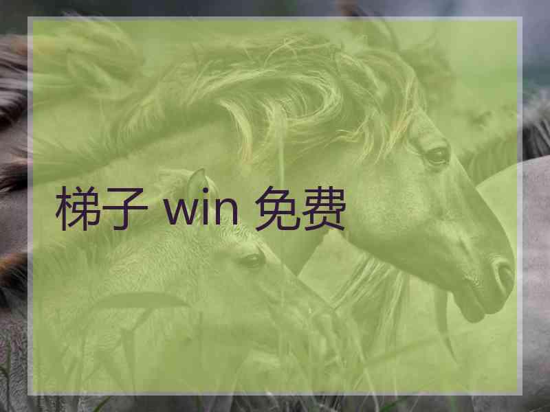 梯子 win 免费