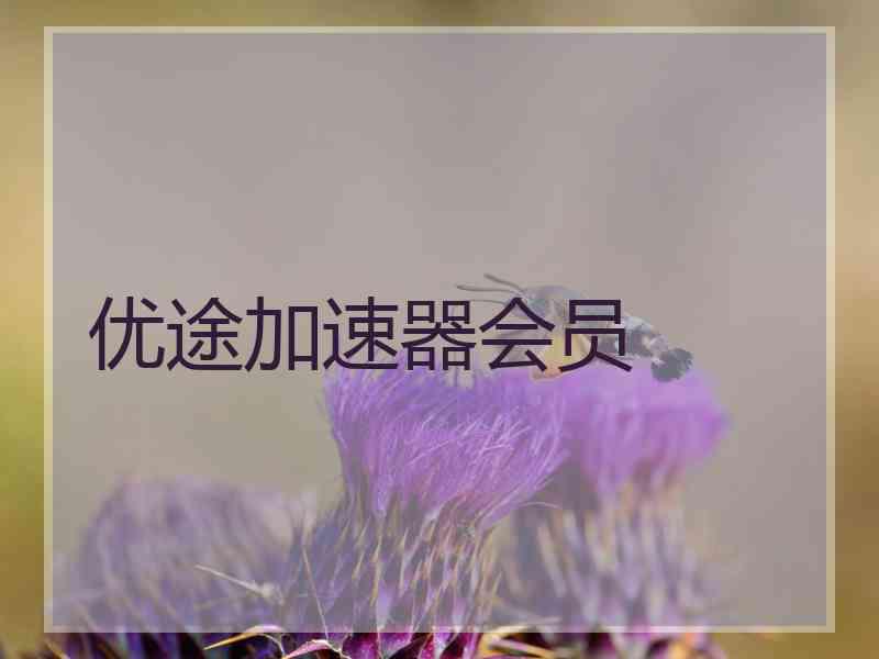 优途加速器会员