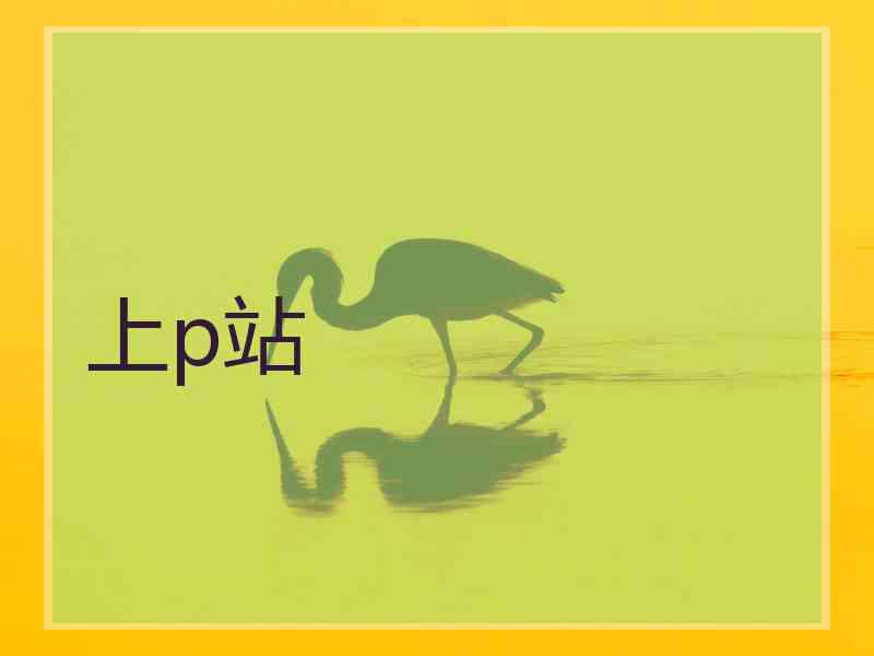 上p站