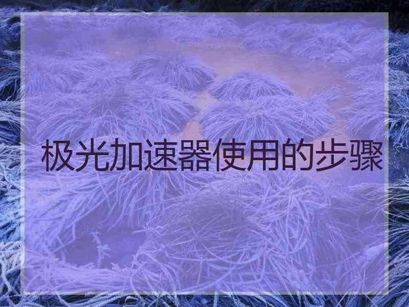 极光加速器使用的步骤