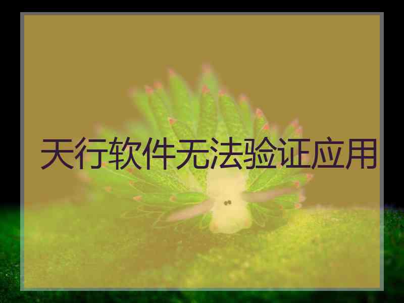 天行软件无法验证应用