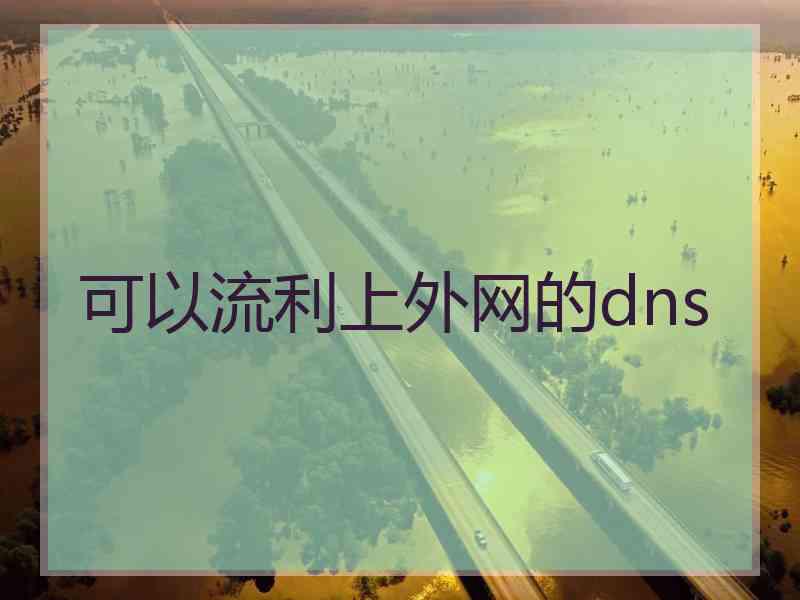 可以流利上外网的dns