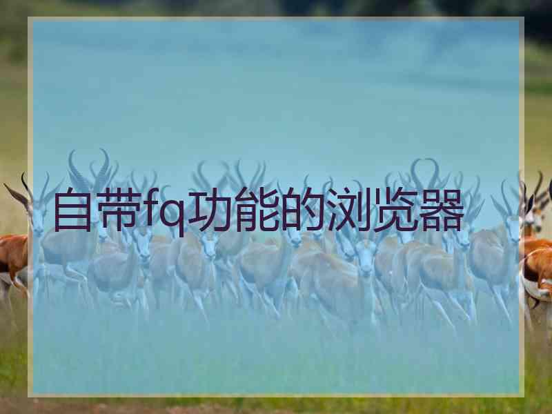 自带fq功能的浏览器