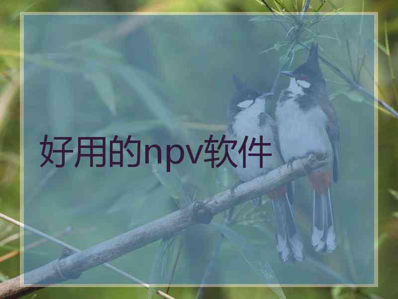 好用的npv软件