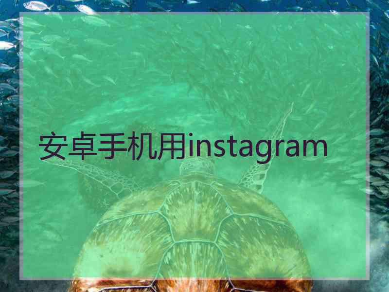 安卓手机用instagram