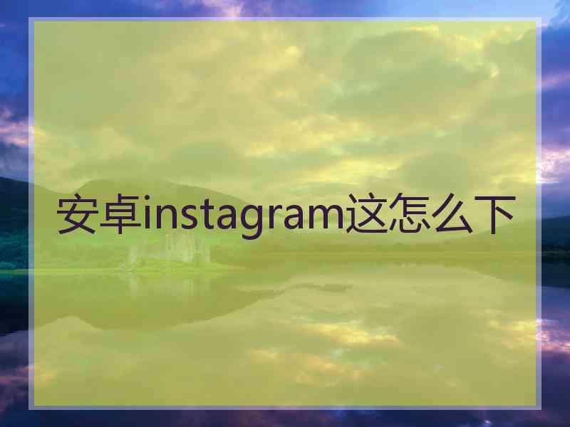 安卓instagram这怎么下