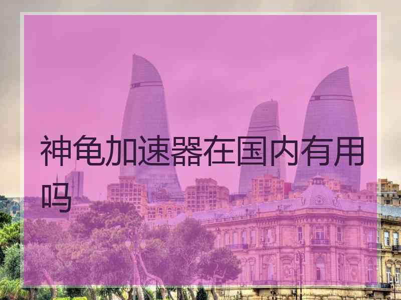 神龟加速器在国内有用吗