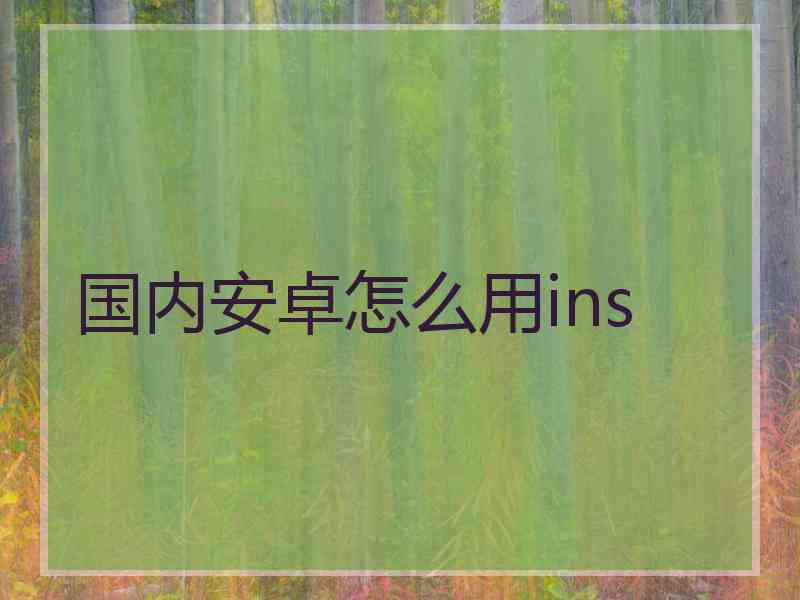 国内安卓怎么用ins
