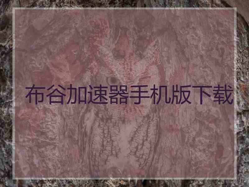 布谷加速器手机版下载