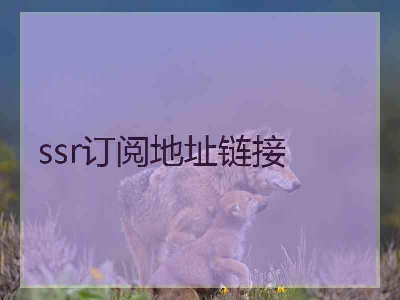 ssr订阅地址链接