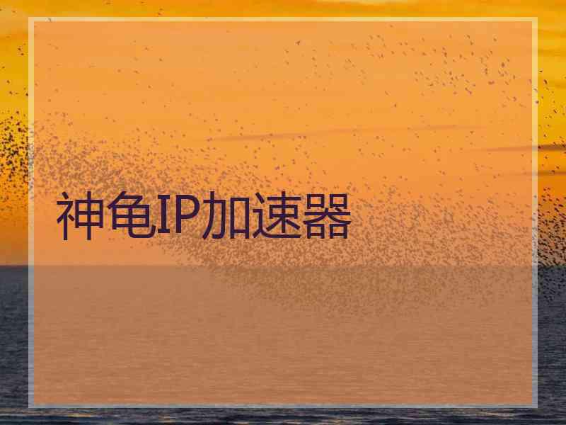 神龟IP加速器