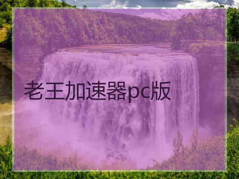 老王加速器pc版