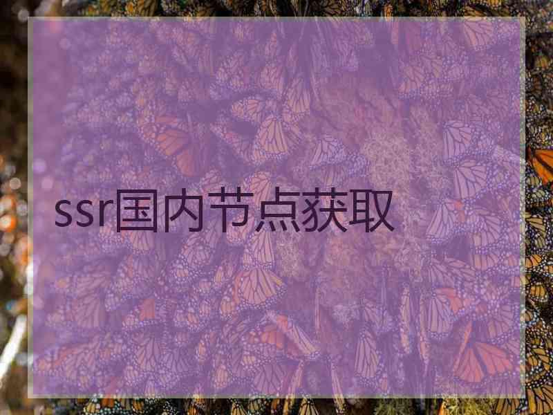ssr国内节点获取