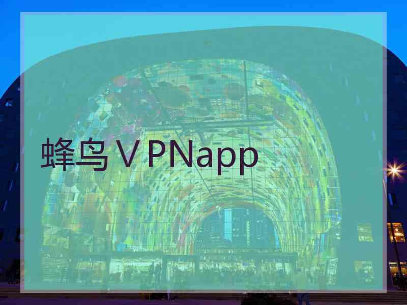 蜂鸟ⅤPNapp