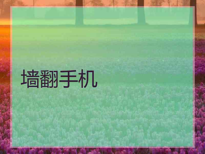 墙翻手机