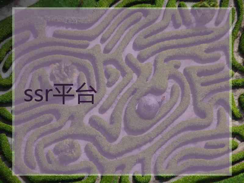 ssr平台