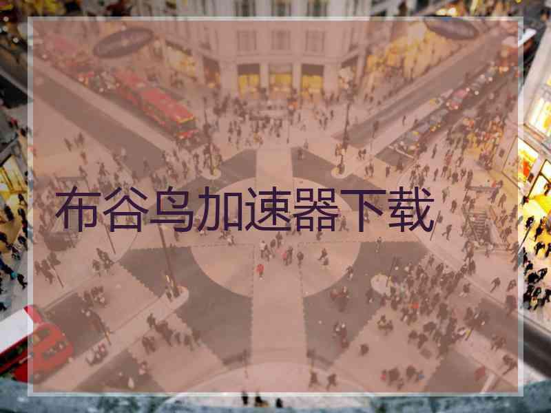 布谷鸟加速器下载