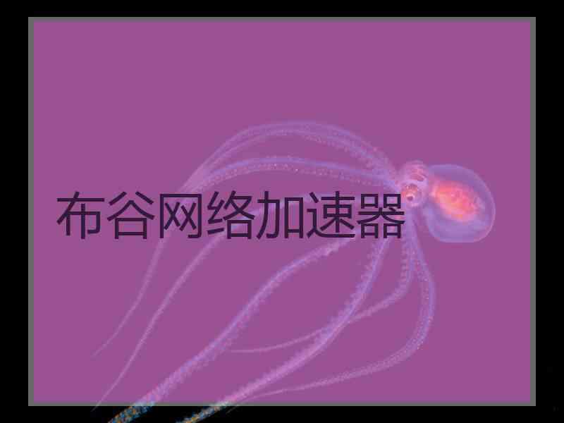 布谷网络加速器