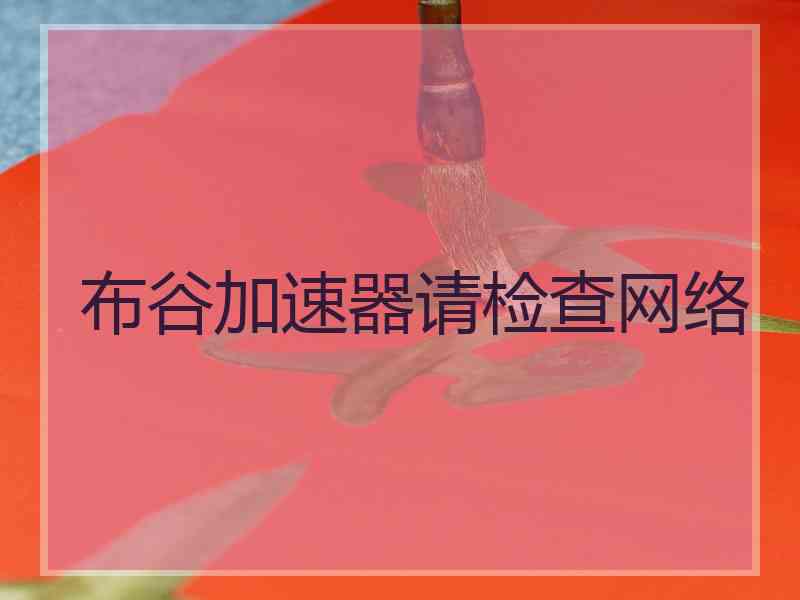 布谷加速器请检查网络