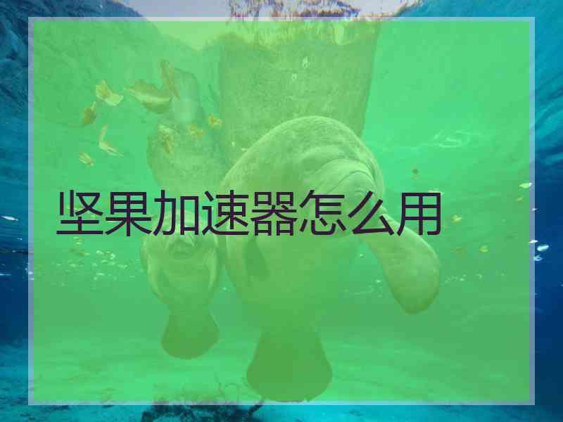 坚果加速器怎么用