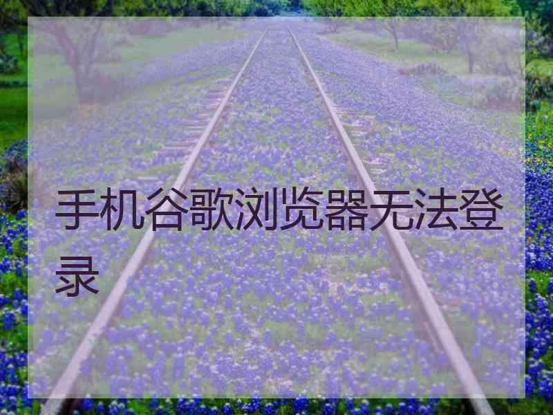 手机谷歌浏览器无法登录