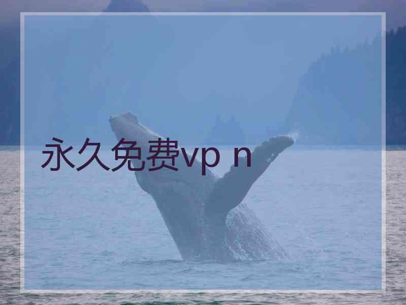 永久免费vp n