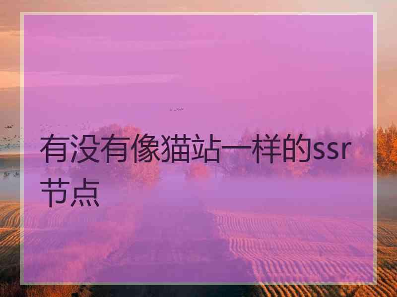 有没有像猫站一样的ssr节点
