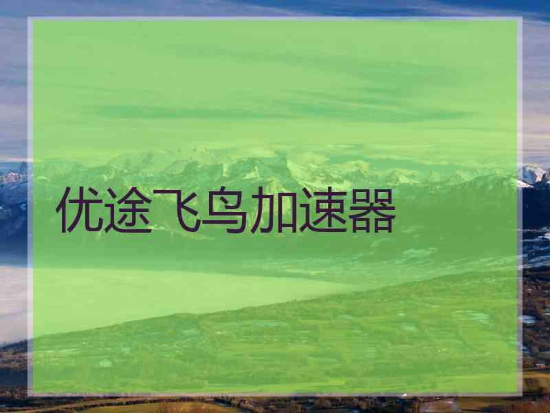 优途飞鸟加速器