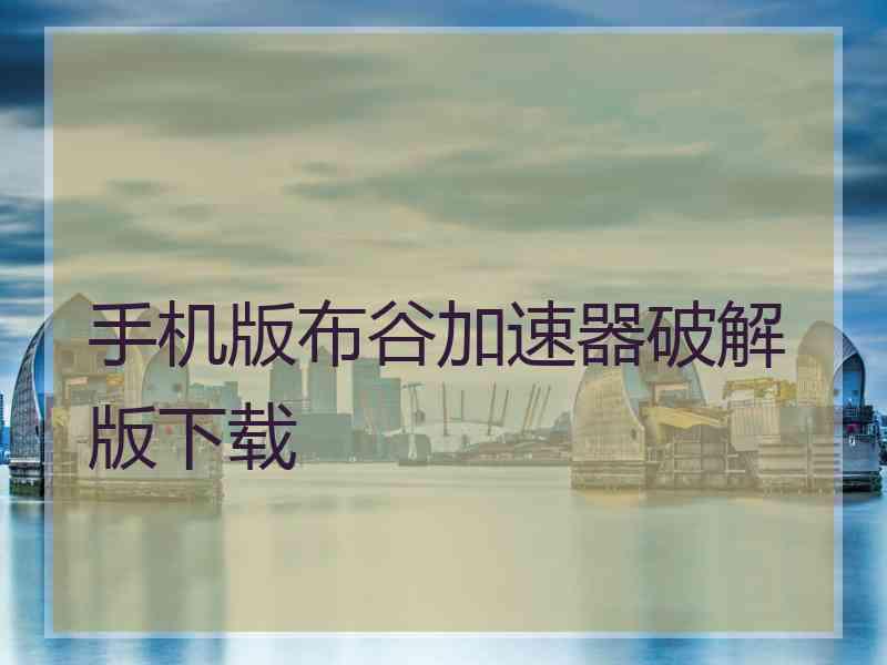 手机版布谷加速器破解版下载
