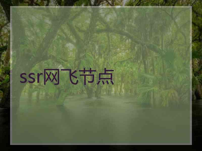 ssr网飞节点