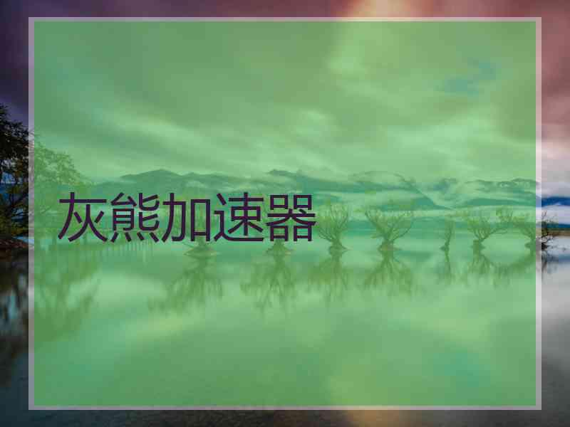 灰熊加速器