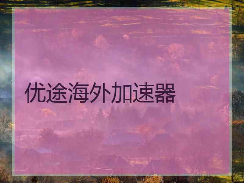 优途海外加速器