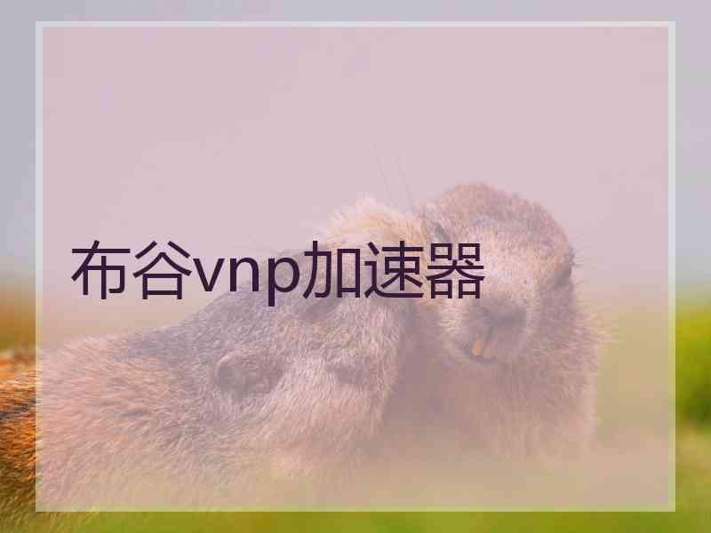 布谷vnp加速器