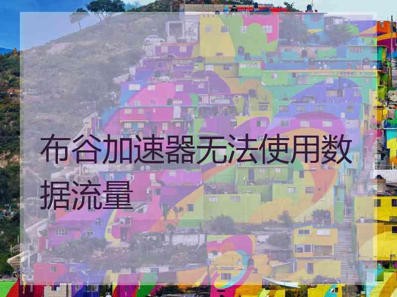 布谷加速器无法使用数据流量
