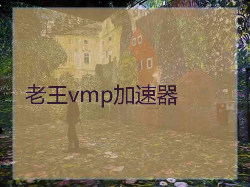 老王vmp加速器