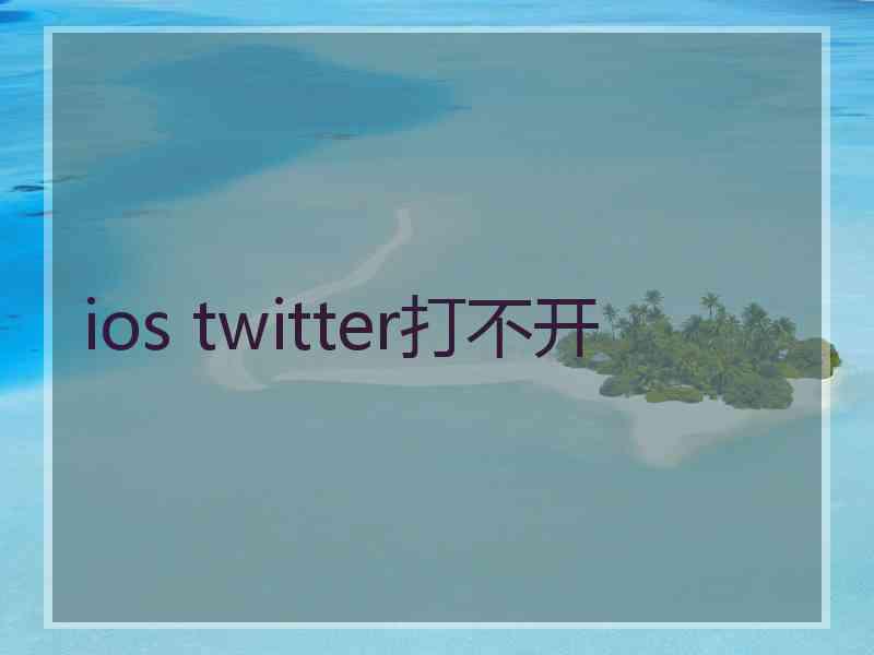ios twitter打不开