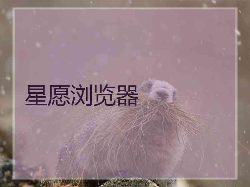 星愿浏览器