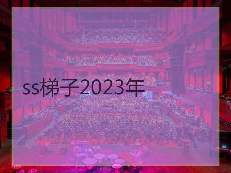 ss梯子2023年