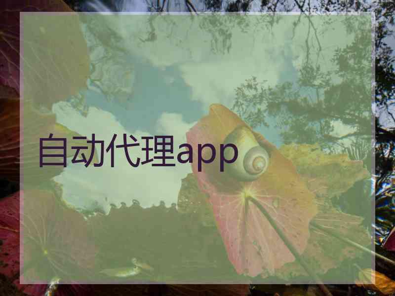 自动代理app