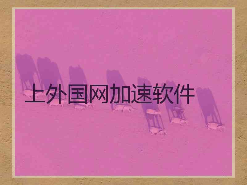 上外国网加速软件