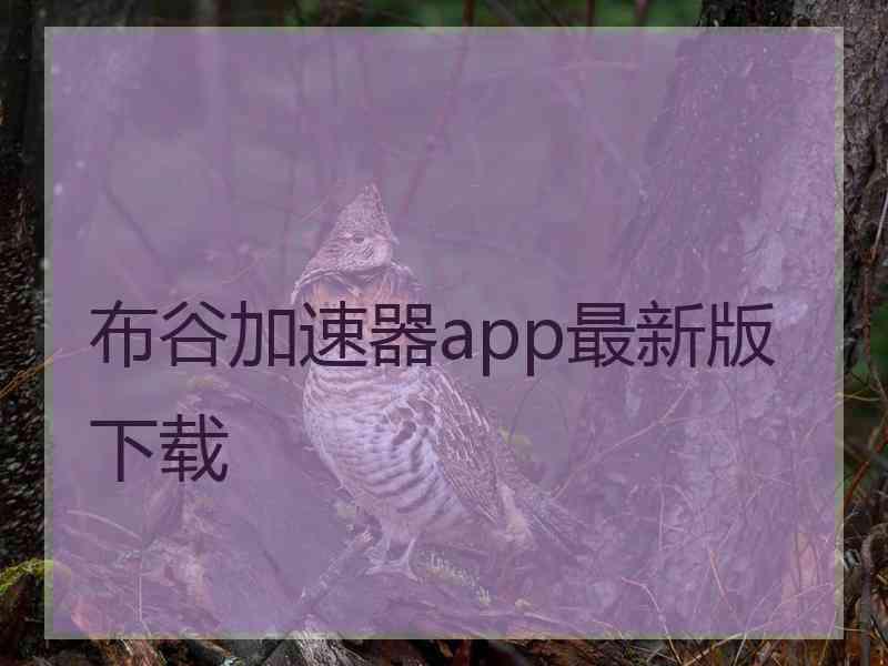 布谷加速器app最新版下载