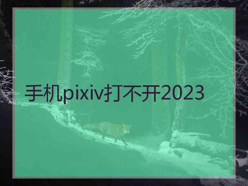 手机pixiv打不开2023